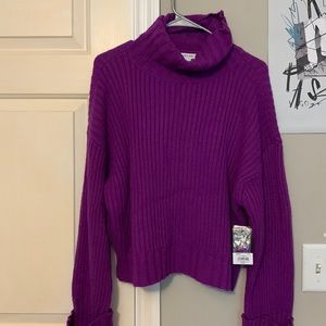 Wool Turtleneck Sweater